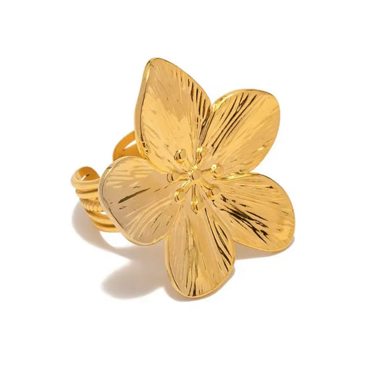 Amapola R