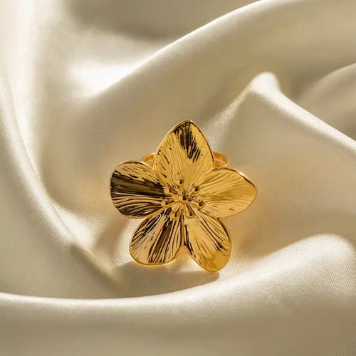 Amapola R