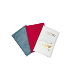 PASSPORT CASE